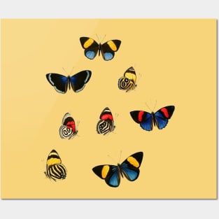 Butterflies Posters and Art